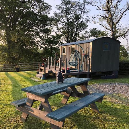 The Peacock Shepherds Hut At Hafoty Boeth Corwen Zewnętrze zdjęcie