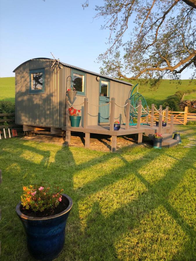 The Peacock Shepherds Hut At Hafoty Boeth Corwen Zewnętrze zdjęcie
