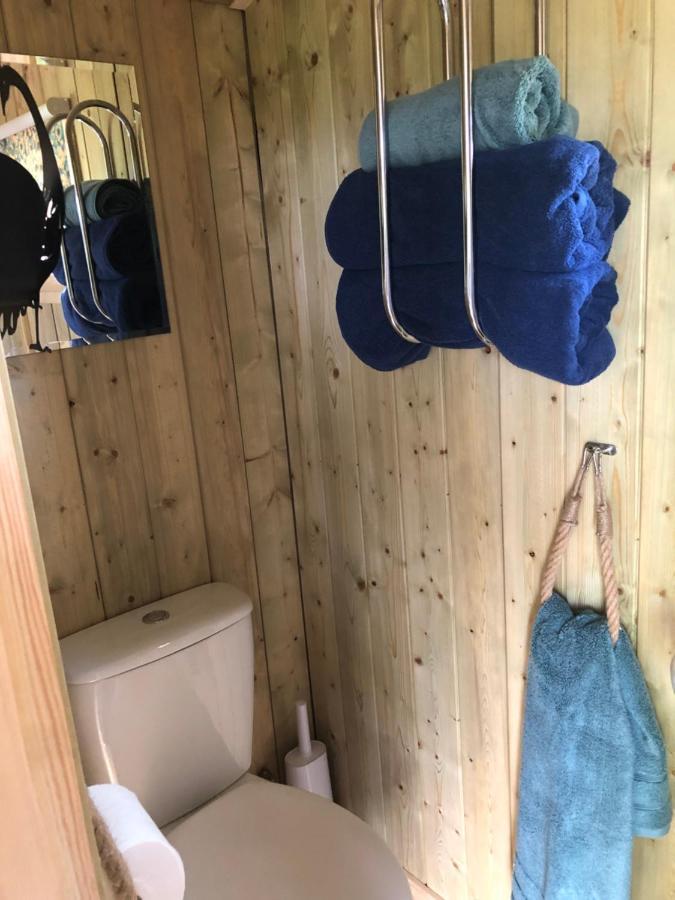 The Peacock Shepherds Hut At Hafoty Boeth Corwen Zewnętrze zdjęcie