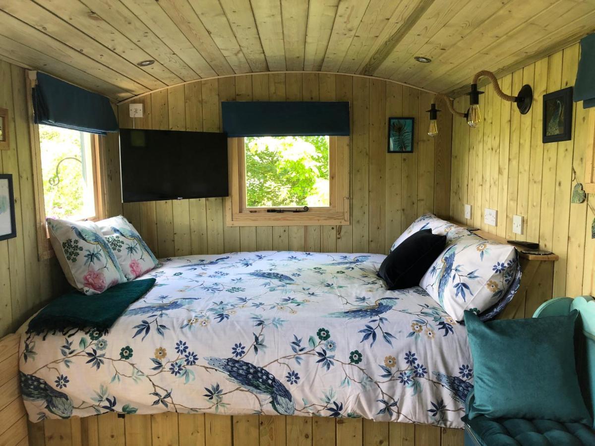 The Peacock Shepherds Hut At Hafoty Boeth Corwen Zewnętrze zdjęcie