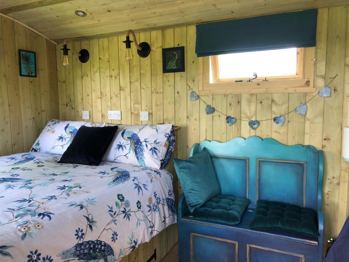 The Peacock Shepherds Hut At Hafoty Boeth Corwen Zewnętrze zdjęcie
